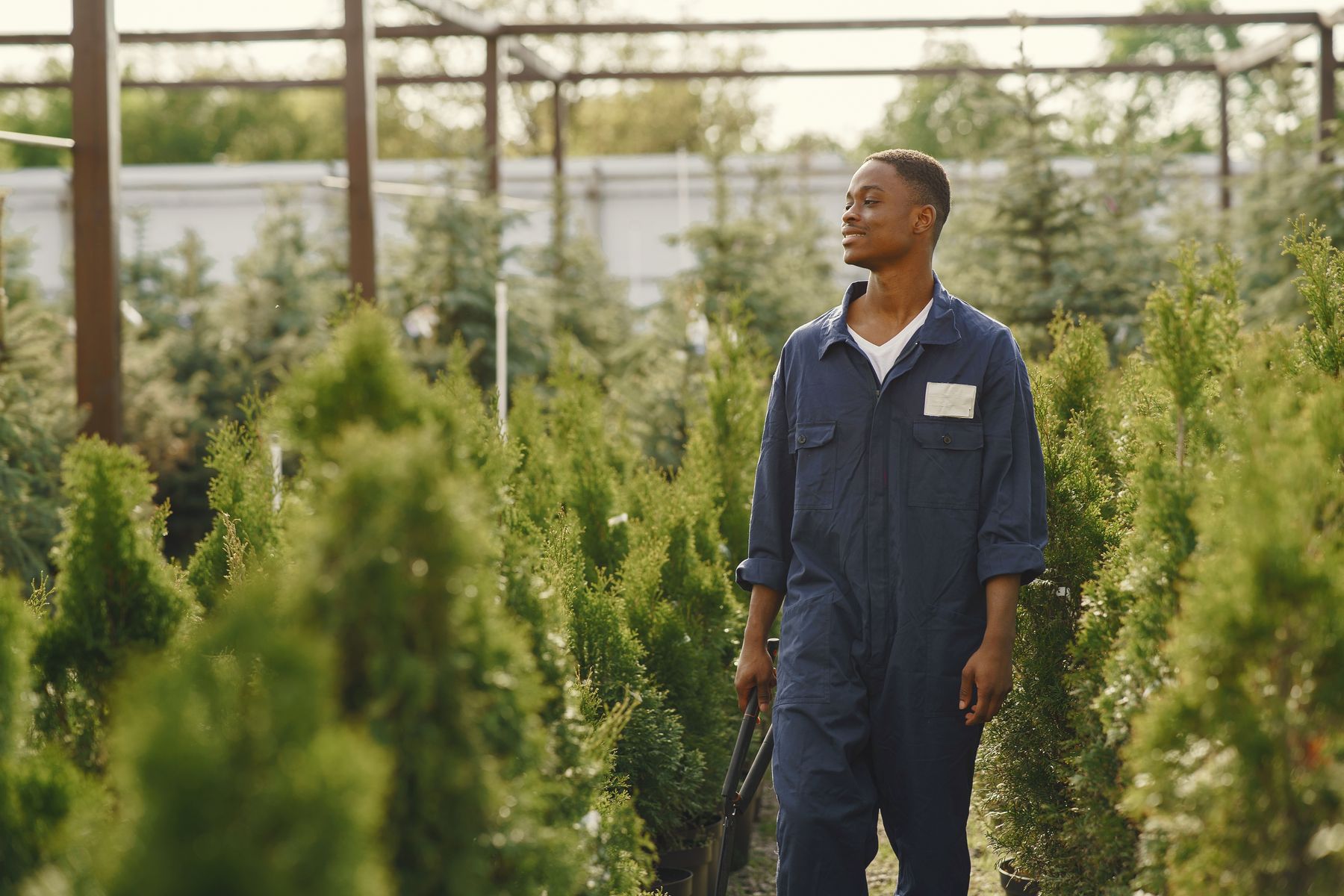 Landscape professional standing among healthy nursery plants