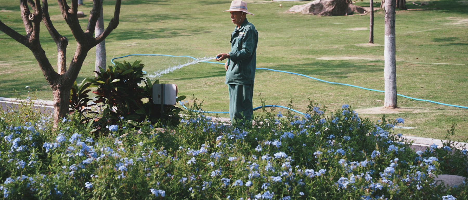 Gardener watering flowers beside a broad green lawn
