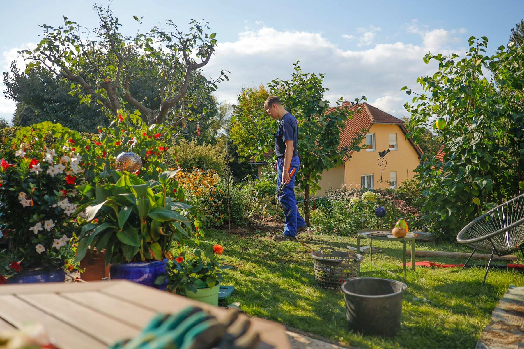 Gardener walking through a residential garden to assess the property