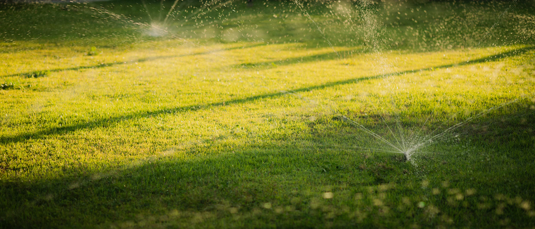 Sprinklers maintaining a healthy green lawn in warm evening light